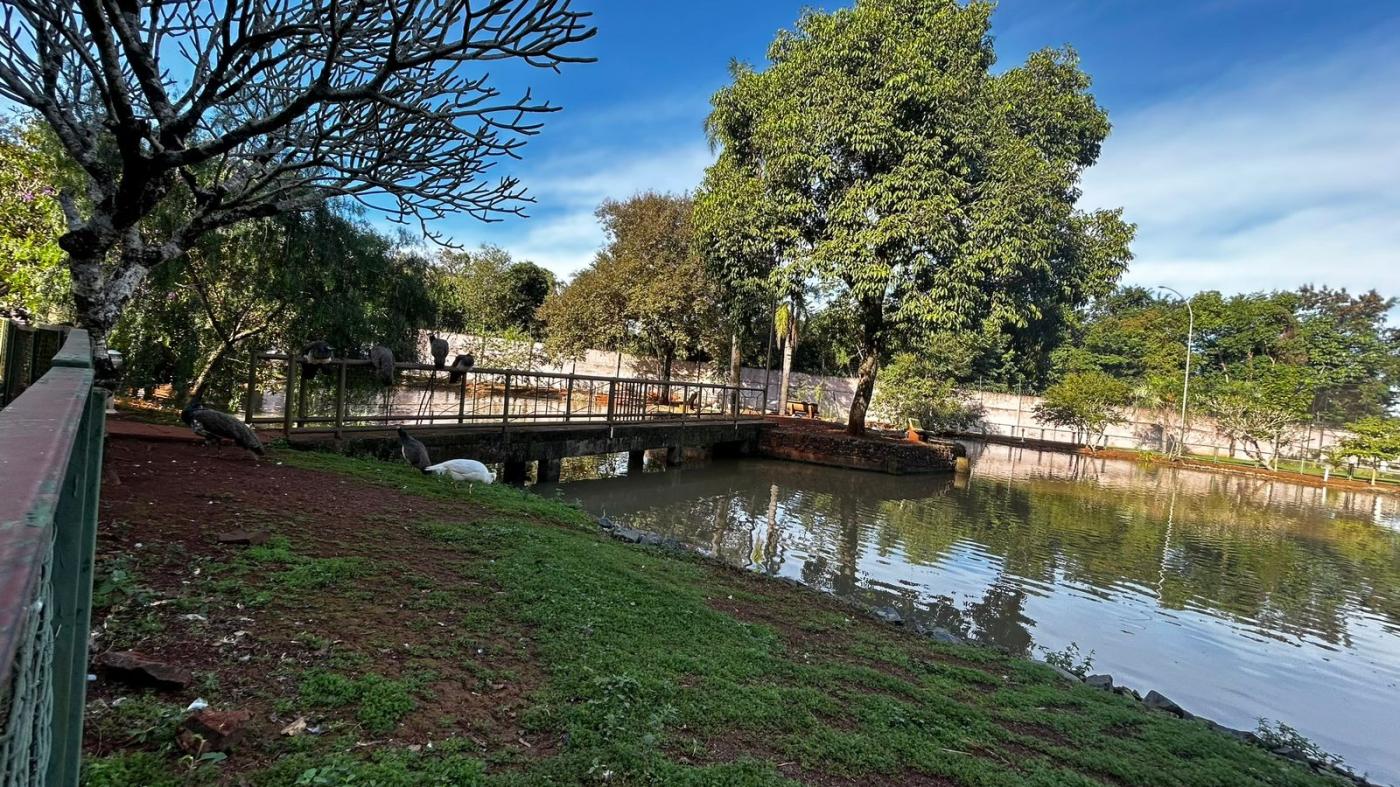 Terreno para Venda em Foz do Iguaçu, Jardim Ana Cristina